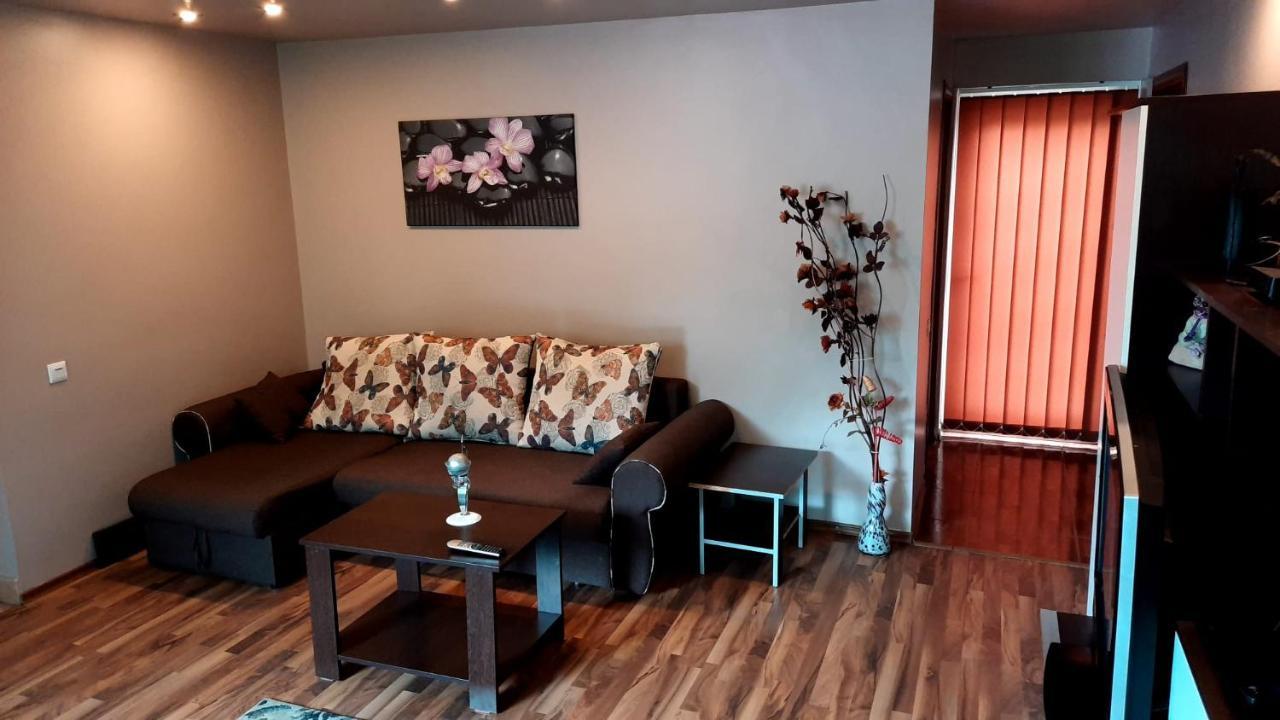 Apartament Laurentiu - Etaj.1 Boekarest Buitenkant foto